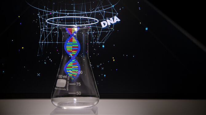 Eine 3-D-Animation in einer Ausstellung rund um die Forschungen Mieschers.