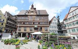 Das Rathaus in der Altstadt von Tübingen