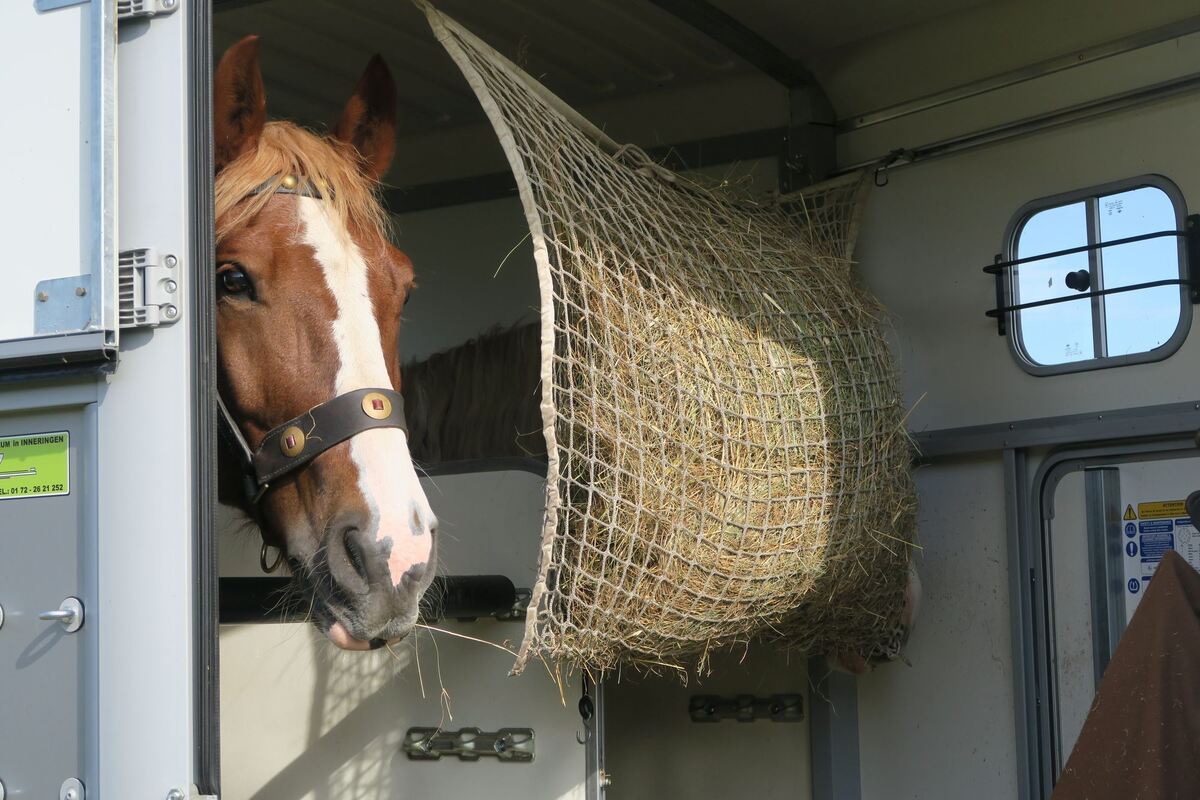 fuhrmannstag_pliezhausen_2019_klein_1