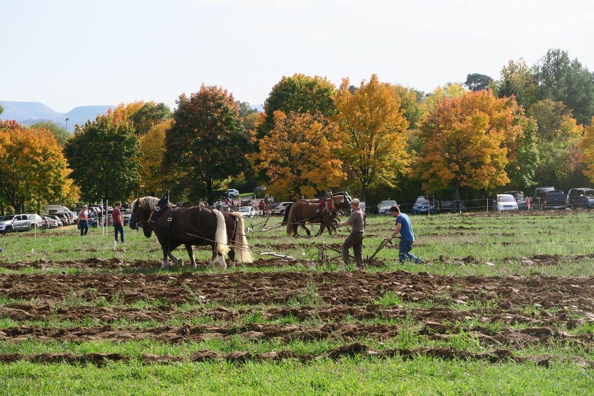 fuhrmannstag_pliezhausen_2019_klein_2