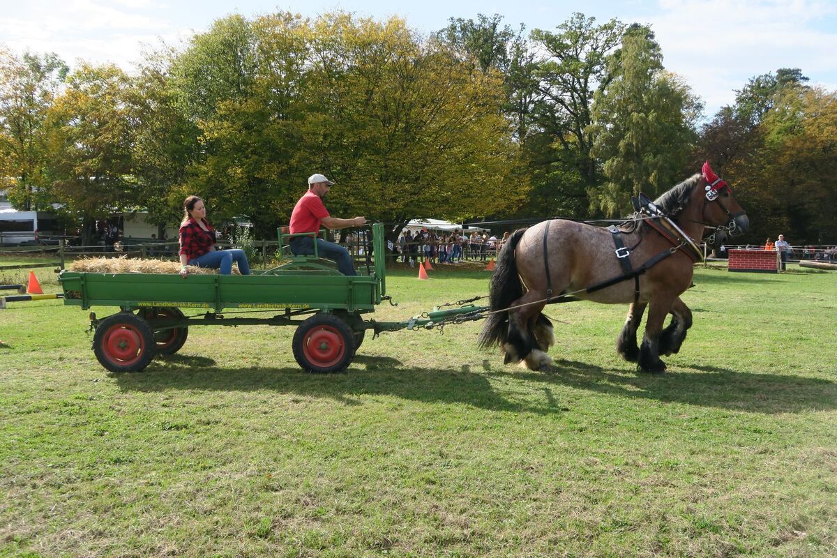 fuhrmannstag_pliezhausen_2019_klein_7