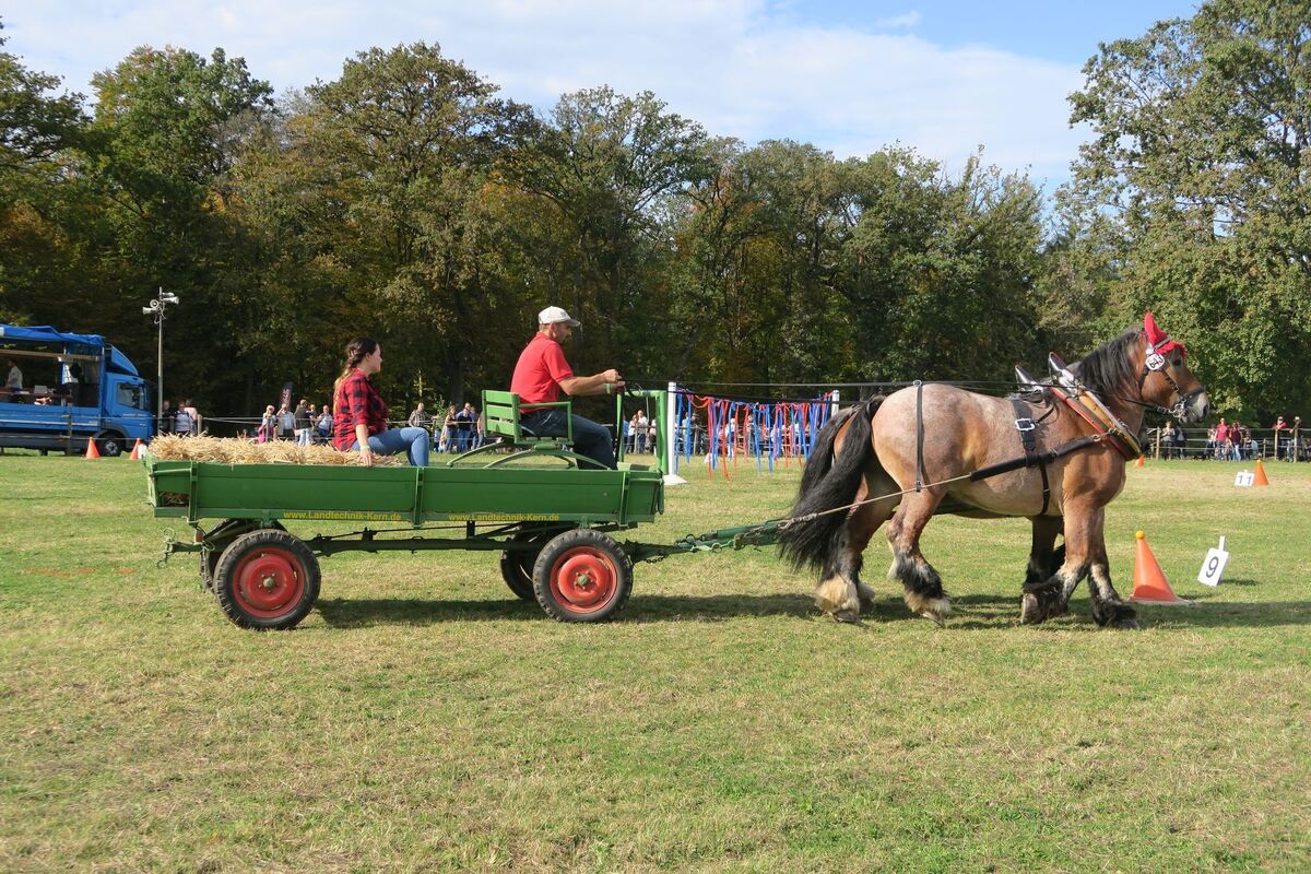 fuhrmannstag_pliezhausen_2019_klein_8