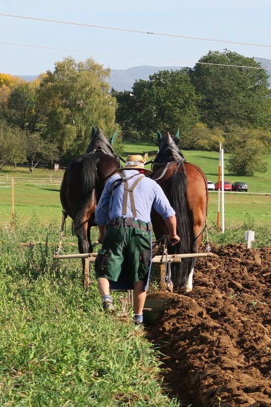 fuhrmannstag_pliezhausen_2019_klein_11
