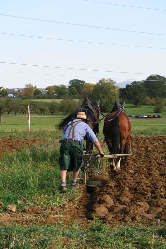 fuhrmannstag_pliezhausen_2019_klein_17