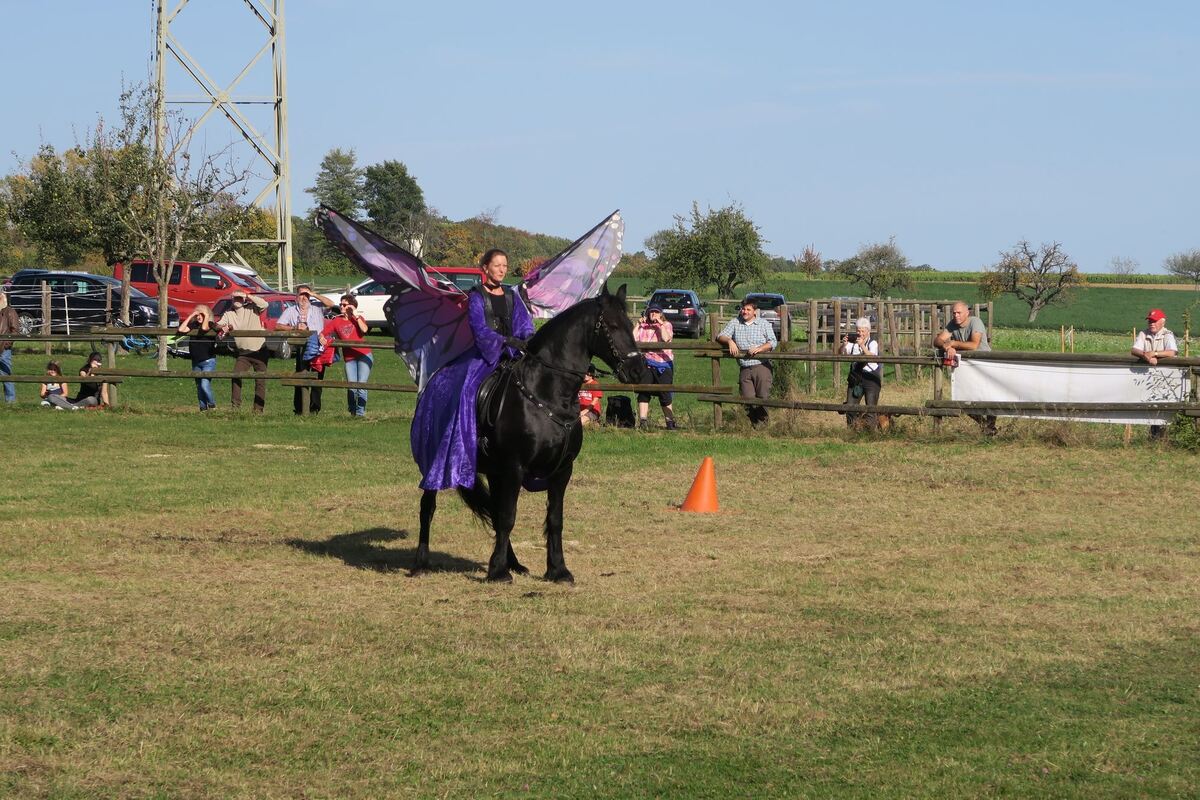 fuhrmannstag_pliezhausen_2019_klein_20