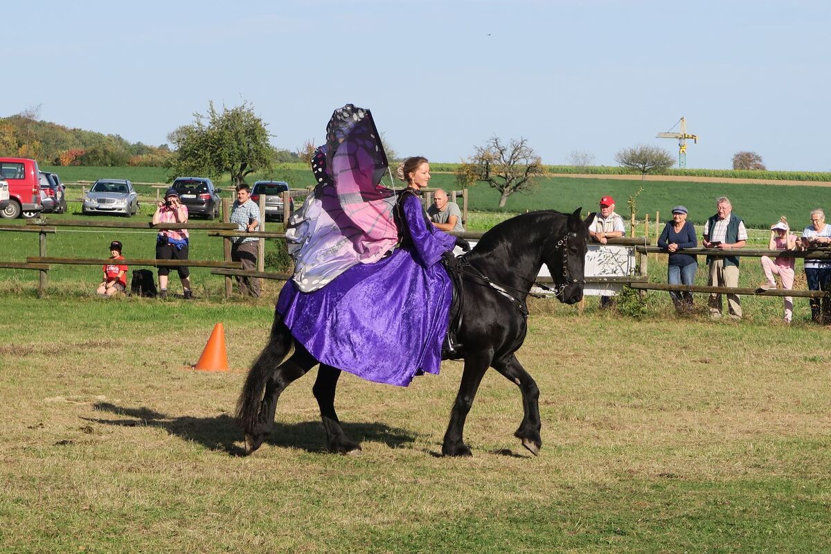 fuhrmannstag_pliezhausen_2019_klein_21