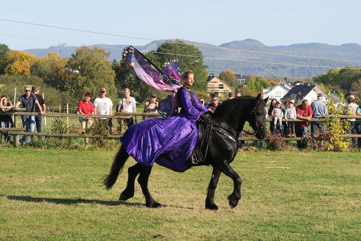 fuhrmannstag_pliezhausen_2019_klein_22