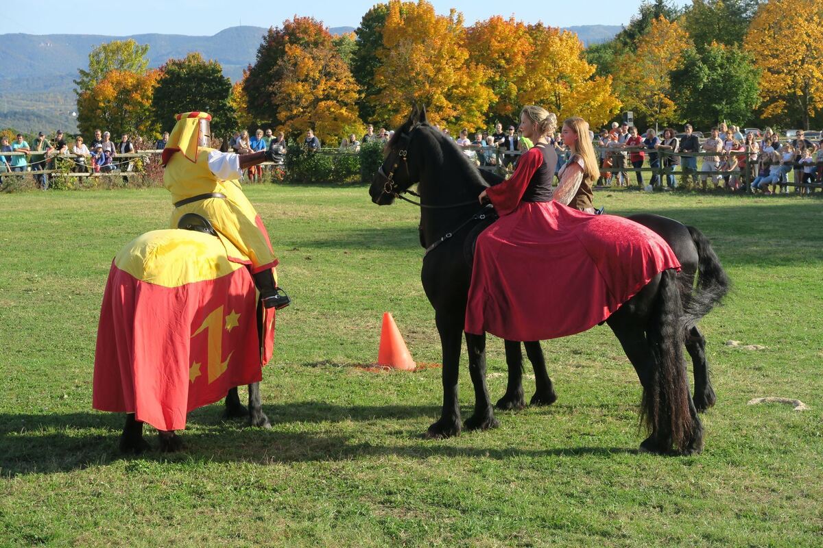 fuhrmannstag_pliezhausen_2019_klein_24