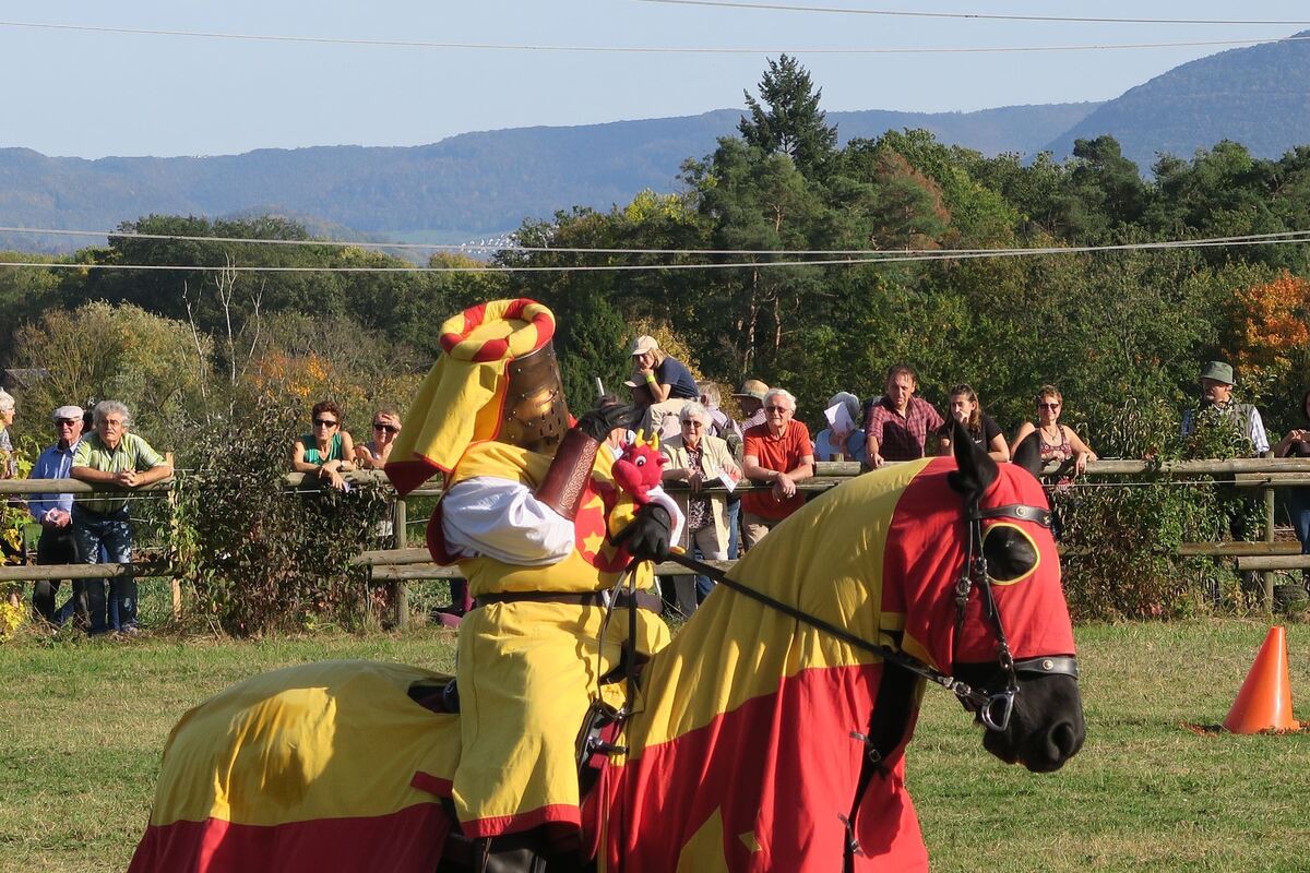 fuhrmannstag_pliezhausen_2019_klein_25