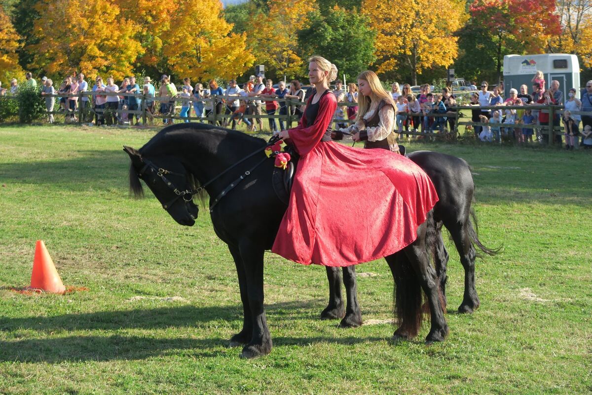 fuhrmannstag_pliezhausen_2019_klein_27