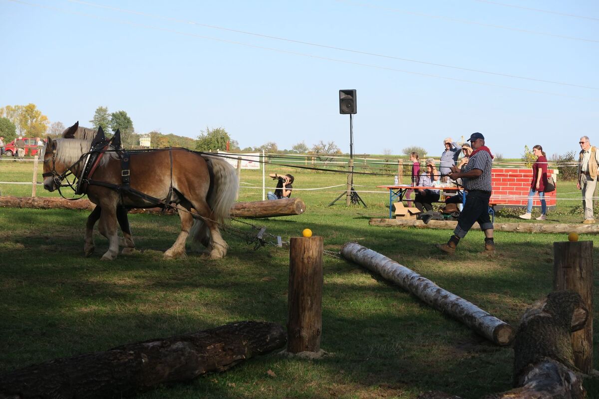 fuhrmannstag_pliezhausen_2019_klein_29