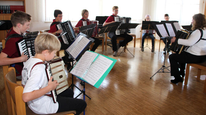 Die Mitglieder des Akkordeonorchesters des Albvereins Kleinengstingen zeigten bei einem Konzert am Sonntag ihr Können. foto: lei