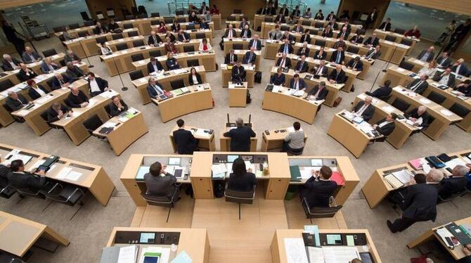 Die Abgeordneten des Landtags in Stuttgart bei einer Debatte