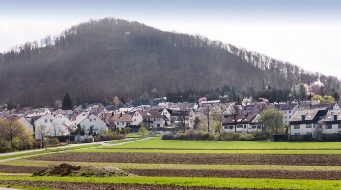 Der Bereich Vor Buchhalden in Dettingen soll zum Neubaugebiet werden.  Foto: Trinkhaus