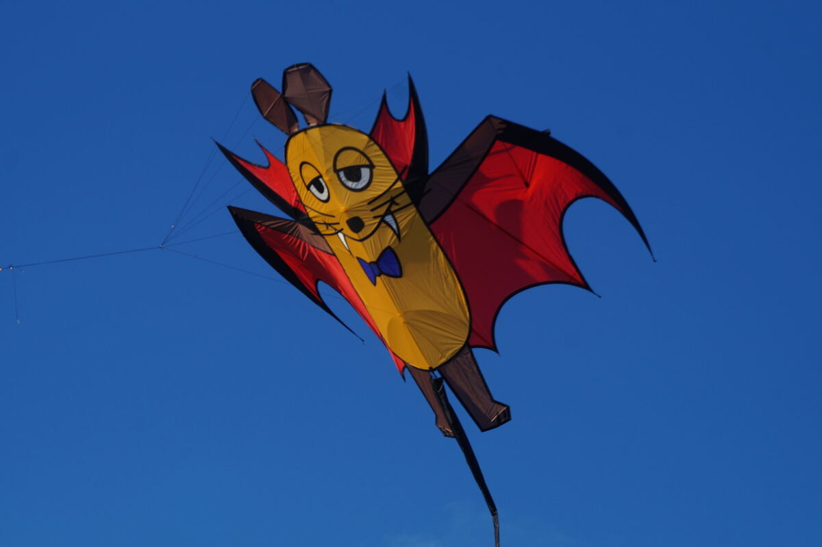 drachenfest_muensingen_19