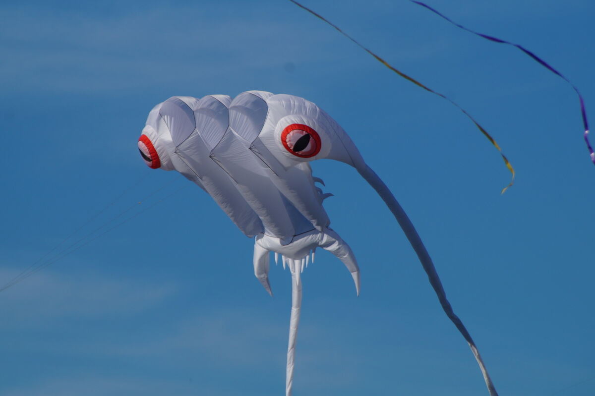 drachenfest_muensingen_20