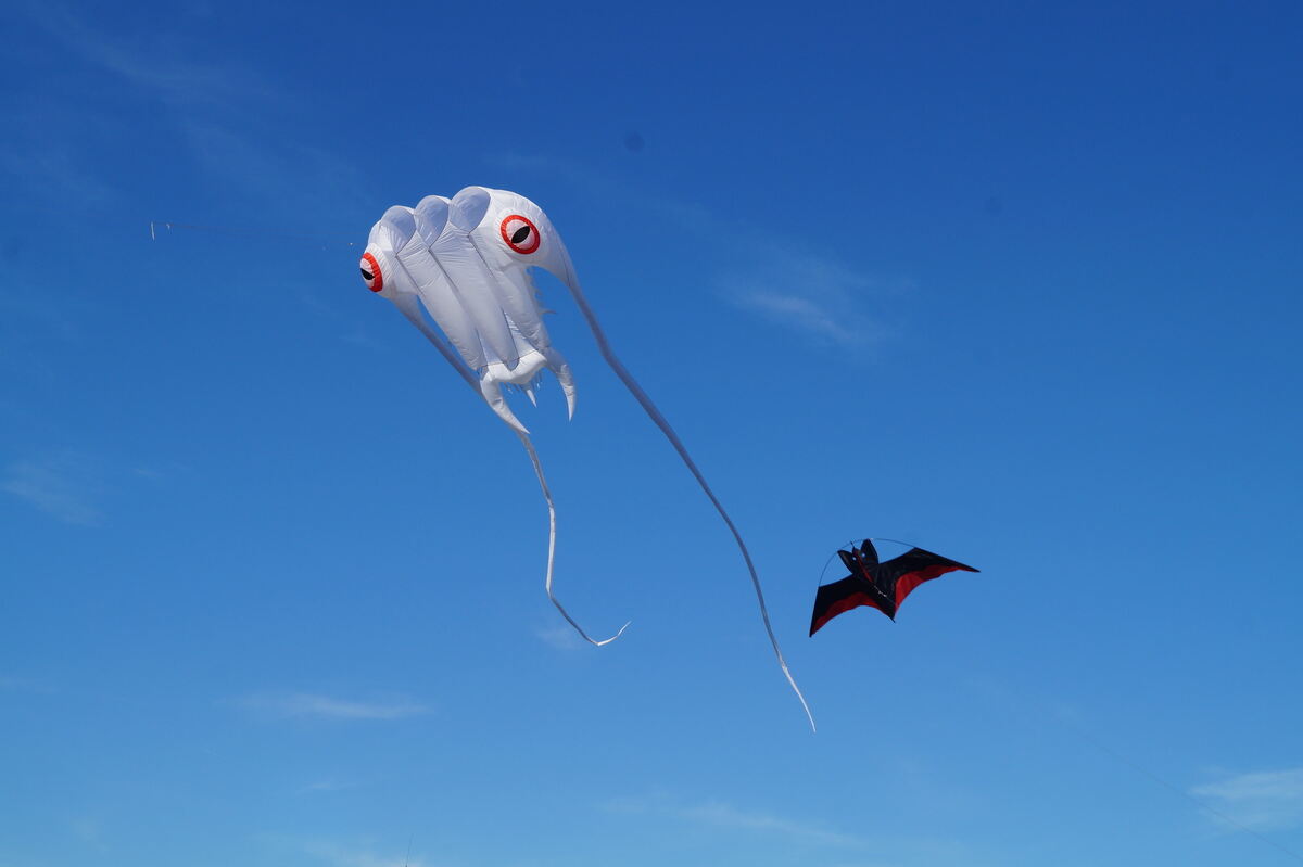 drachenfest_muensingen_21