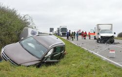 Vier Verletzte und ein unversehrtes Pferd nach dem Zusammenprall von vier Fahrzeugen auf der Ofterdinger Steige. FOTO: MEYER