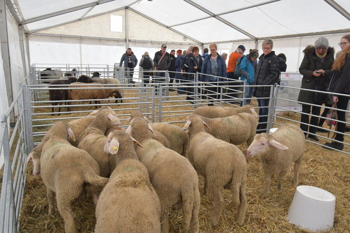 schoenundgut_2019_meyer_1