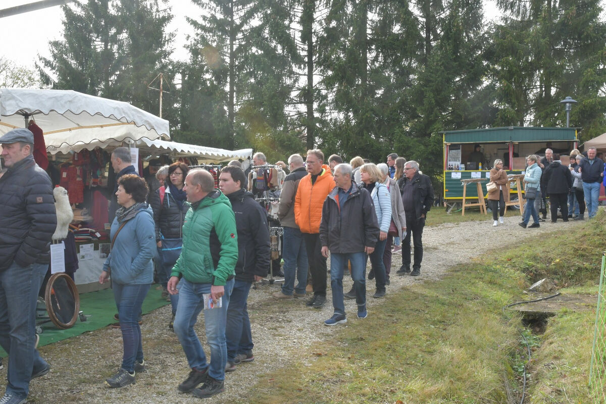 schoenundgut_2019_meyer_5