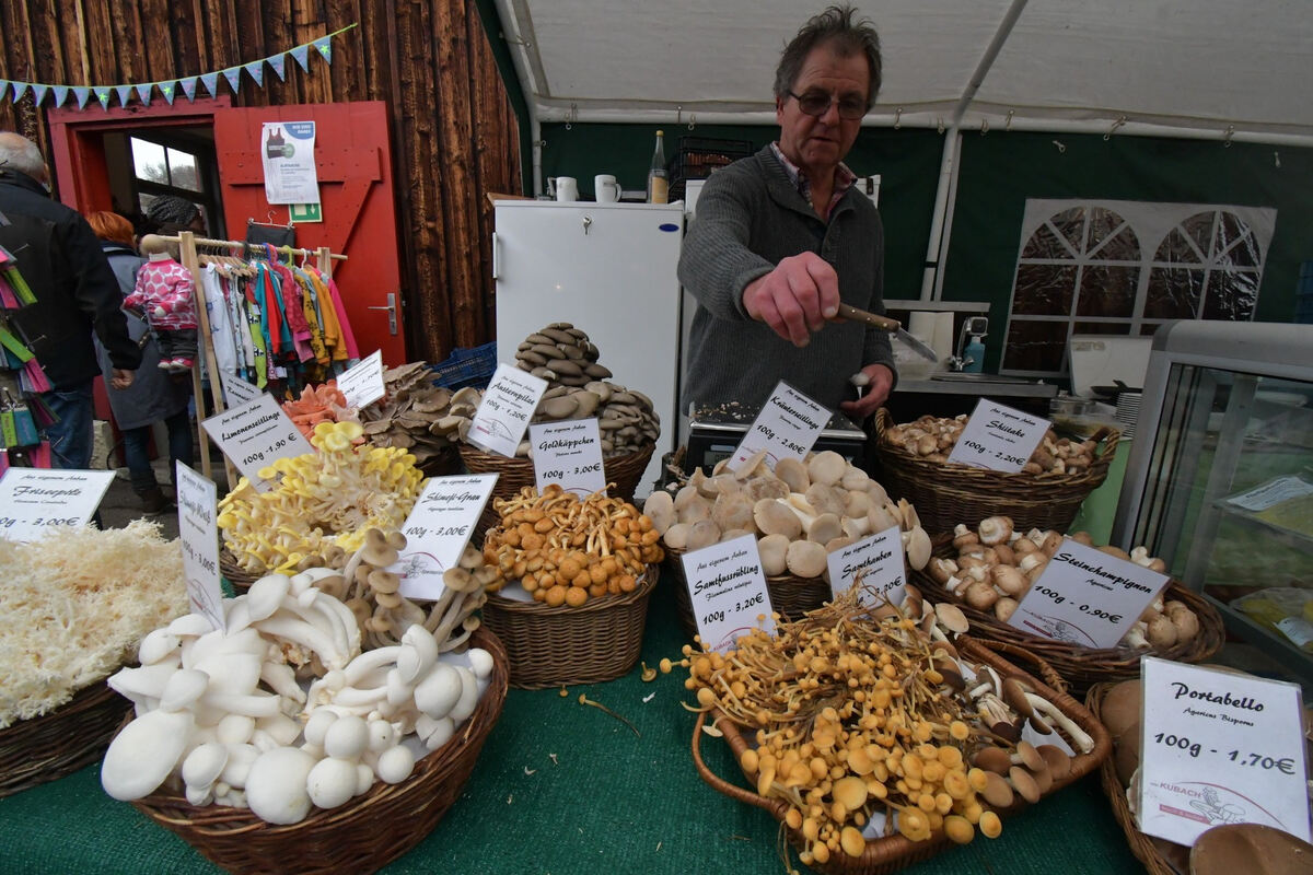 schoenundgut_2019_meyer_45