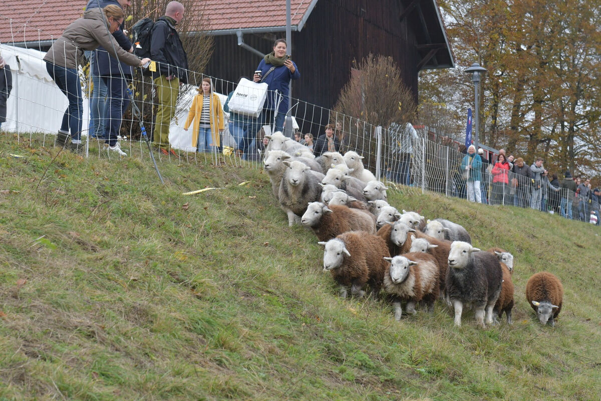 schoenundgut_2019_meyer_54