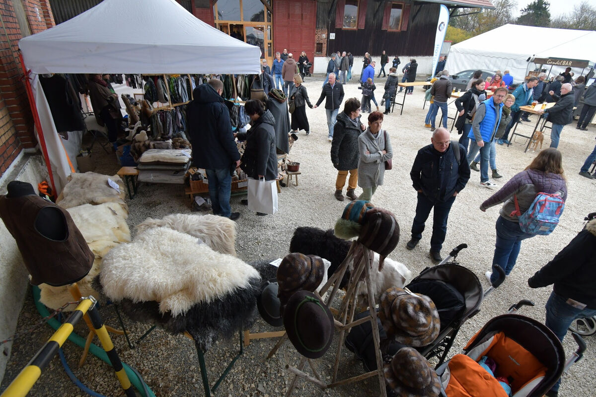 schoenundgut_2019_meyer_66