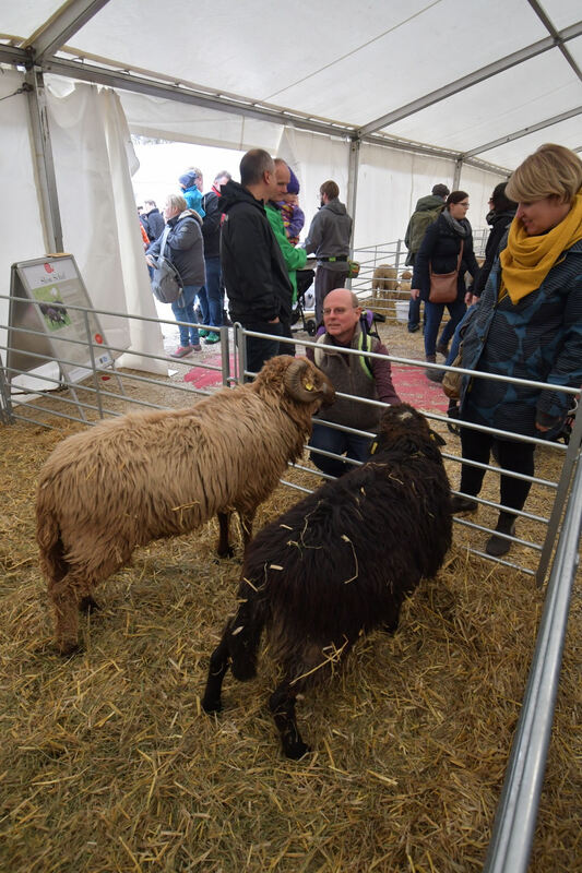 schoenundgut_2019_meyer_67