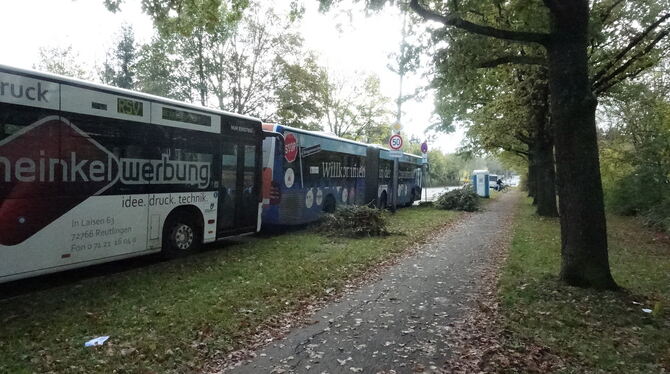 Nur Busse dürfen auf Teilen der Seitenstreifen in der Roanner Straße parken. Im Hintergrund ist das Dixi-Klos zu sehen, das bei