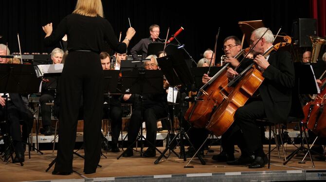 Mitglieder des VHS-Orchesters beim Konzert in der Schillerhalle. Foto: VARADY