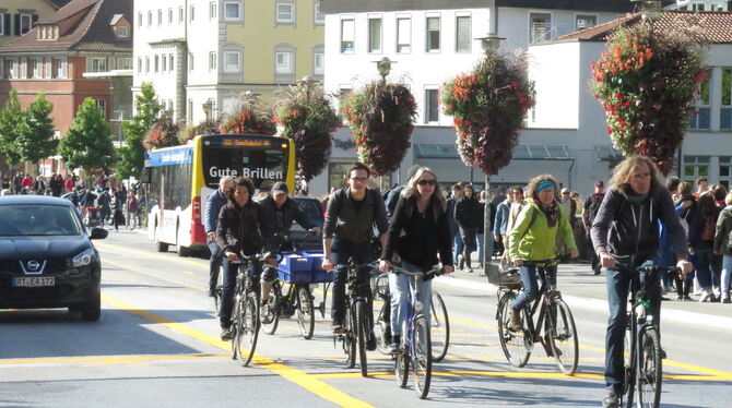 Die neue Verkehrsführung auf der Neckarbrücke bietet den Radfahrern mehr Platz. Foto: Förder