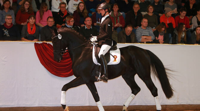 Shaolan geht für 54 000 Euro nach Österreich. Foto: Krenz