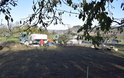 Vorübergehend weniger Idylle an der Stauseestraße: Die Schafe scheinen sich an den vielen Baumaschinen nicht zu stören.