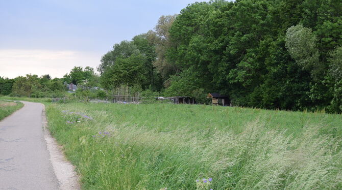 Die Stadt Pfullingen verzichtet darauf, Flächen entlang des Arbachs für das Gewerbegebiet »Hinter Holz« im Flächennutzungsplan d