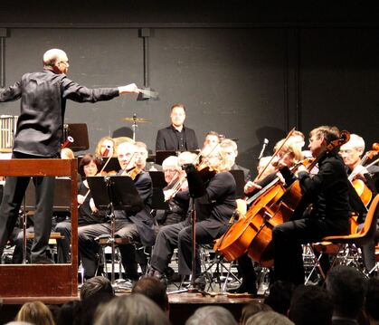   Wenn Musik eine Geschichte erzählt: Das Kammerorchester Metzingen bei seinem Familienkonzert mit Oliver Bensch am Pult.  FOTO: