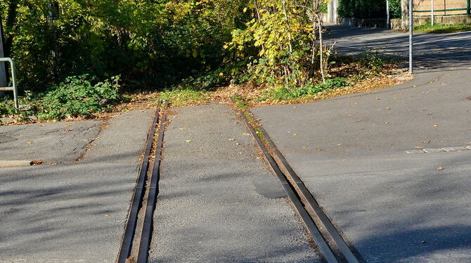 Umstrittenes Potenzial für eine Verbesserung der Radinfrastruktur: Die Alte Honauer Bahntrasse soll neu genutzt werden.  FOTO: N