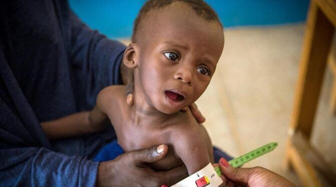 Krise in der Sahelzone