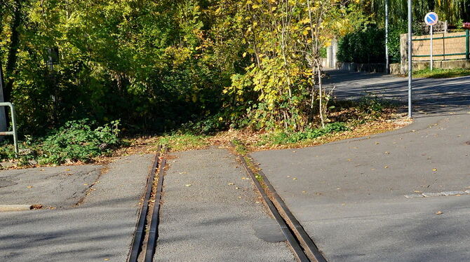 Umstrittenes  Potenzial für eine Verbesserung der Radinfrastruktur: Die Alte Honauer Bahntrasse soll neu genutzt werden. FOTO: N