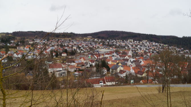 Gammertingen will jetzt und in Zukunft wachsen. Foto: Wurster