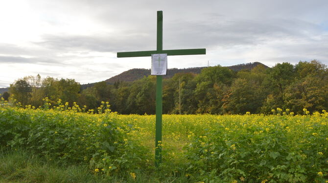Mit grünen Kreuzen wie hier auf einem Feld am Fuß des Mössinger Farrenbergs protestieren Bauern gegen die Agrarpolitik.  FOTO: M