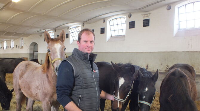 Thomas Schick bei den frisch eingetroffenen Stutfohlen.  FOTOS: WURSTER