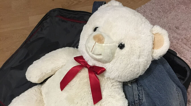 Mit Sack und Pack in ein neues Leben.  FOTO: ZMS