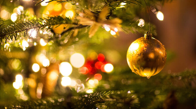 Der Weihnachtsbaum stammt aus dem heidnischen Brauchtum. FOTO: DPA
