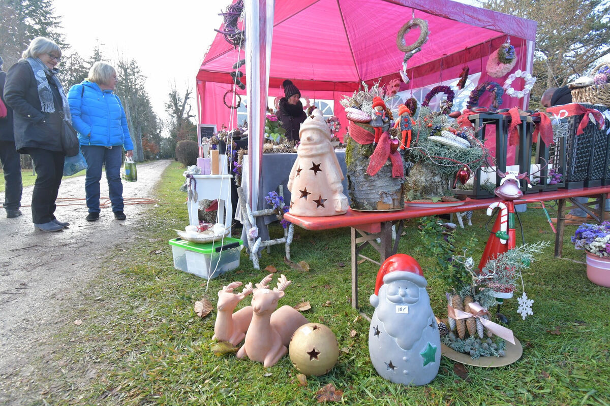 Weima Bad Seb_Meyer2