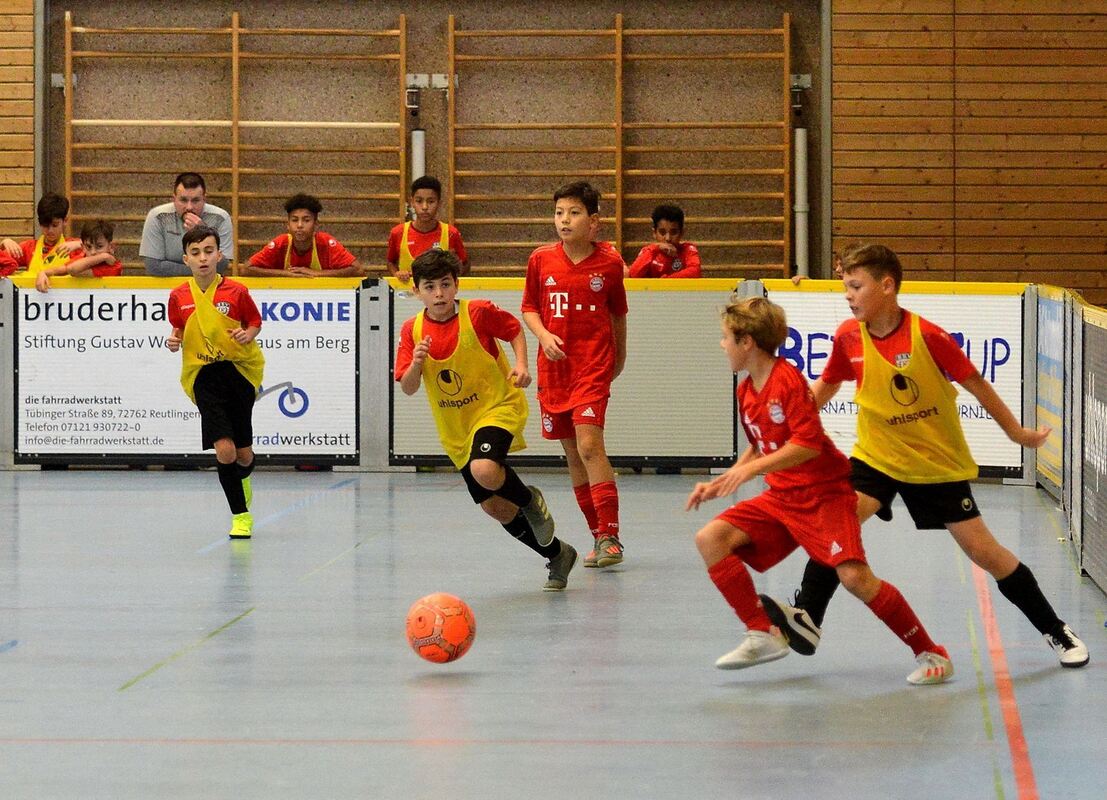 Sport-0212-12Betzi Cup-Niethammer