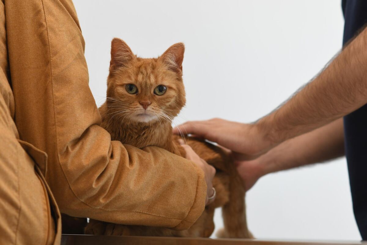 Glori hatte Durchfall, und lässt sich brav untersuchen.