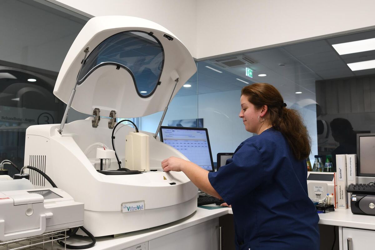 Im Labor verfügt Larissa Kull über sämtliche modernen Untersuchungsmaschinen, die sich auch in einer menschlichen Arztpraxis bef