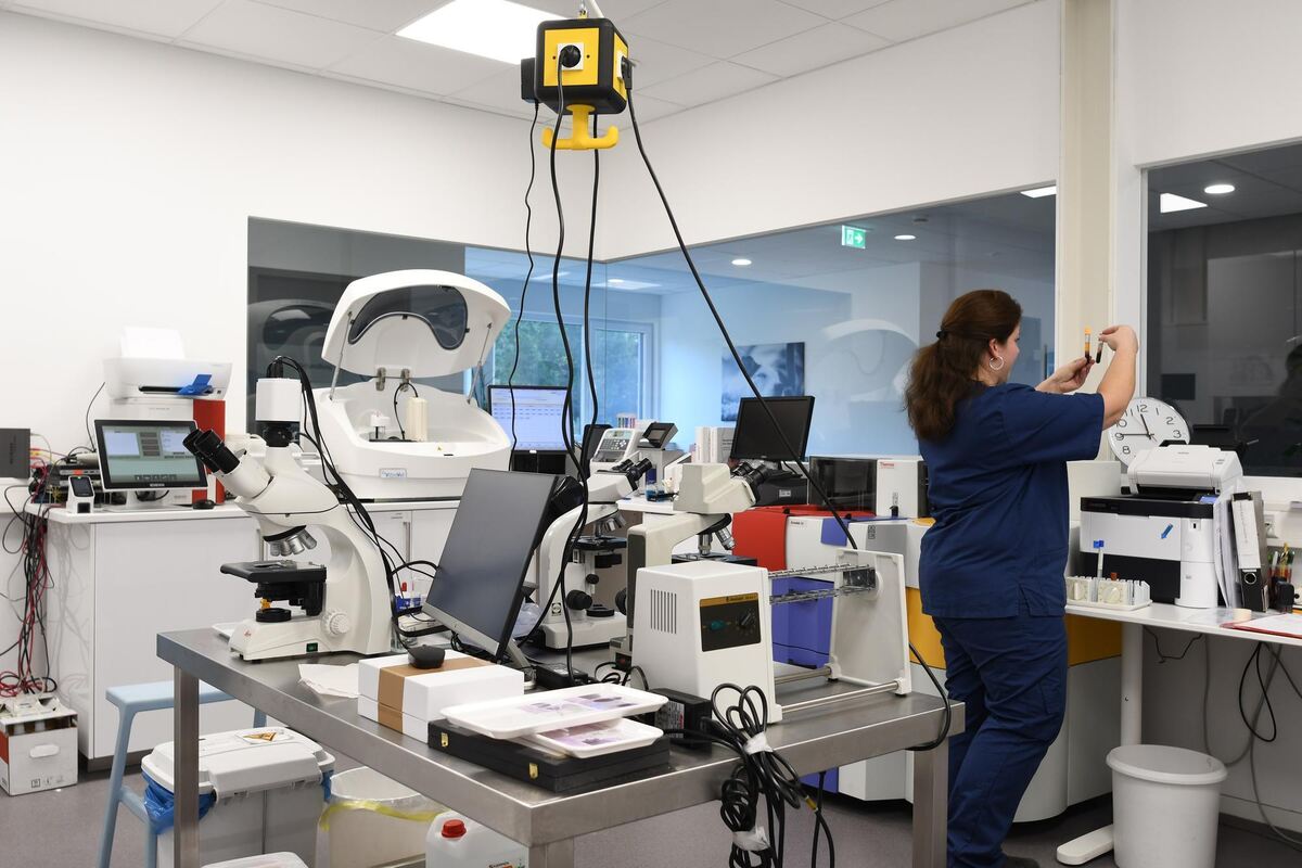 Das Labor liegt in der Mitte des Kleintiermedizinischen Zentrums in einem Glaskasten.