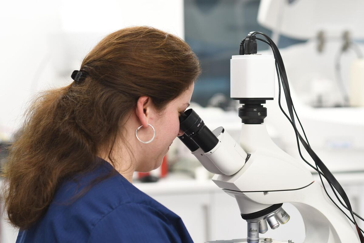Einen Blick aufs Blutbild nimmt Larissa Kull am Mikroskop.