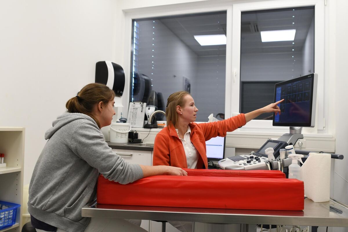 Tierärztin M. und Nora Sidaine-Daumiller (links) besprechen eine Diagnose am Bildschirm.